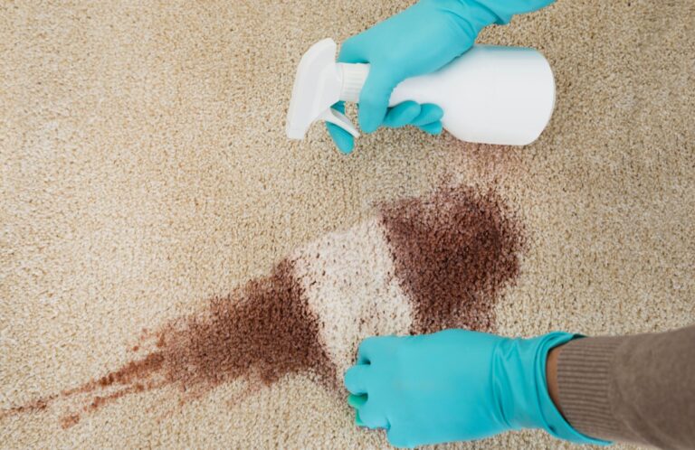 Home Remedies for Carpet Stains