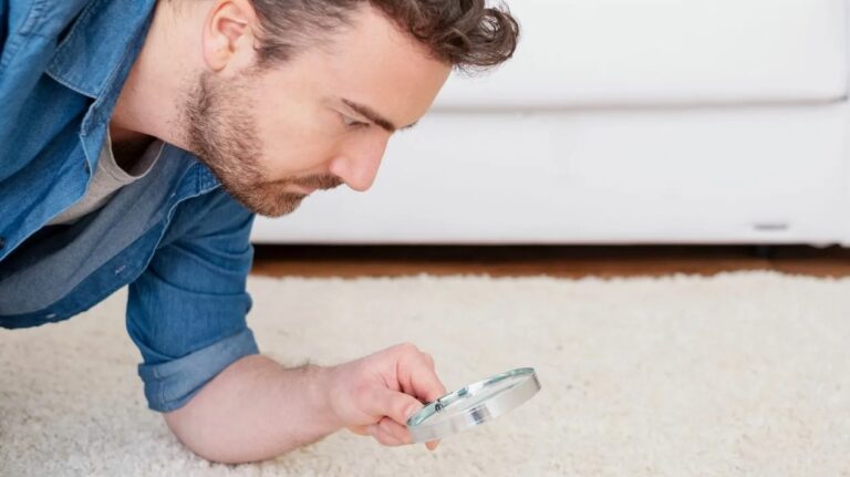 How to Get Mildew Out of Carpet